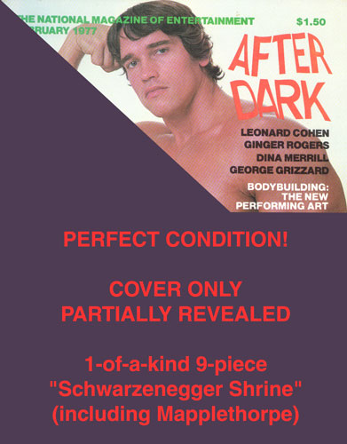 Schwarzenegger Shrine